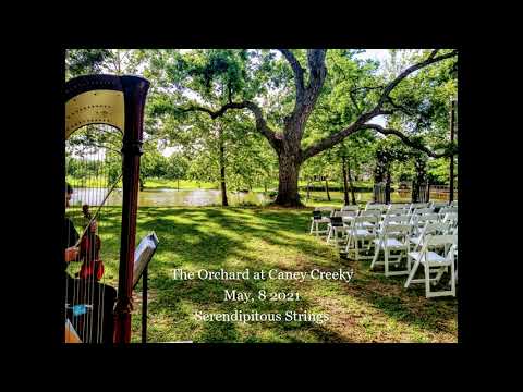 Promotional video thumbnail 1 for Serendipitous Strings