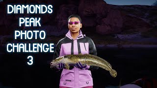 Updated Diamonds Peak Photo Challenge 3