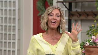 Roberta's 6-Piece Easy Peasy Hens & Chicks on QVC