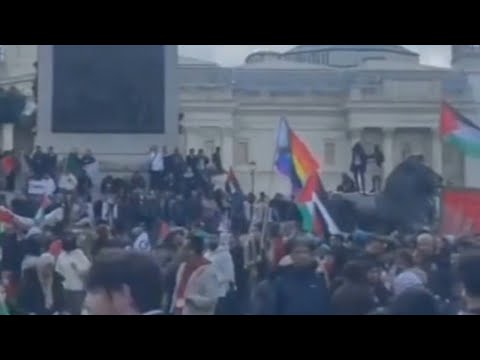 Lefties ‘turn on each other’ after Pride flag appears at pro-Palestine rally