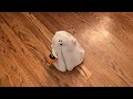 Hallmark 2003 Singing Walking Ghost