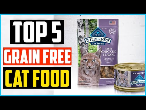 Top 5  Best Grain Free Cat Food Review in 2020