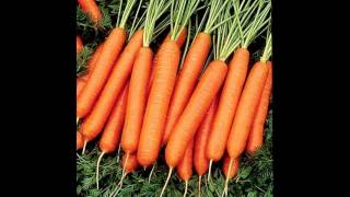 Cover art for Carrot Juice