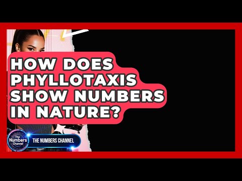How Does Phyllotaxis Show Numbers In Nature? - The Numbers Channel