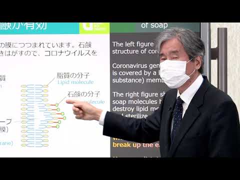 コロナウイルス感染促進: これが病原体の蔓延に貢献する方法です
