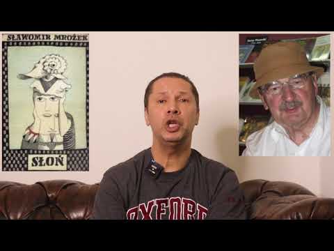 القصة القصيرة  ارض الكتب