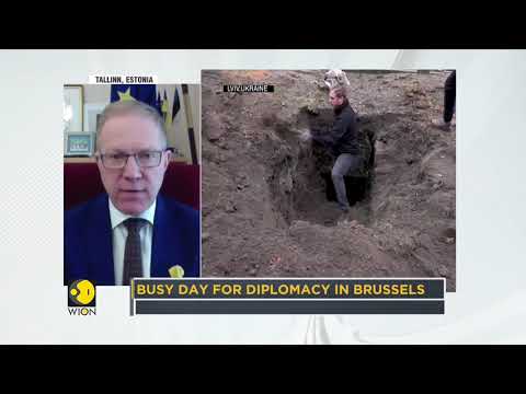 Estonia allocates over $1.4 million for Ukrainian refugees | Russia-Ukraine Conflict | World News