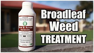 Broadleaf Weed Treatment // Weeds in Couch/Bermuda - HOW TO GET RID OF THEM!!