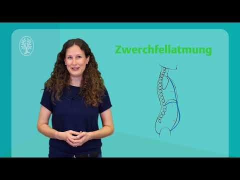 The correct breathing technique: Chest breathing vs. abdominal breathing