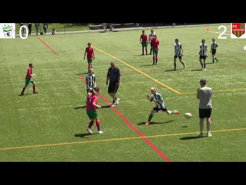 Junioren D FC Reichenbach - FC Lerchenfeld vom 08. 06. 2019 ganzes Spiel