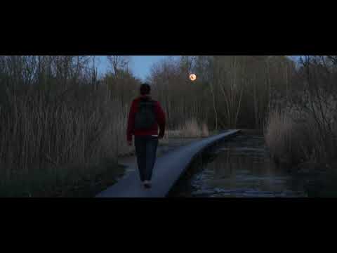 Trailer - Lost in the Wilderness (2022)