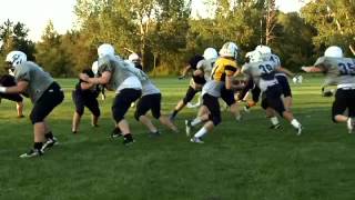 preview picture of video 'Edmonton Wildcats'