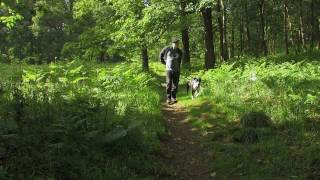 preview picture of video 'Bentley Park and Monks Park Wood dog walk (Very short Video)'