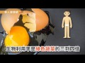 每天吃顆蛋就能保護視力？葉黃素食物來源排行第1！