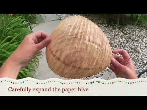 Video thumbnail image