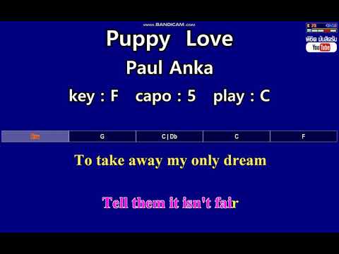 Puppy Love - Barbara Lewis