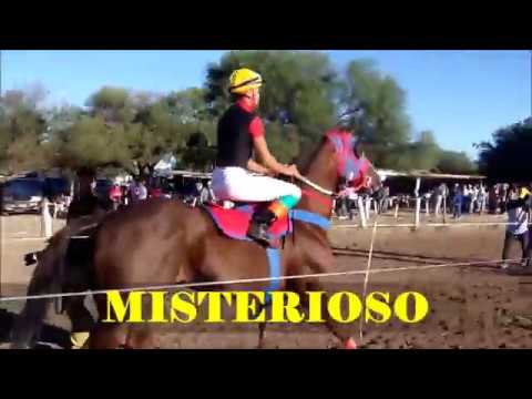 MISTERIOSO-PISTA PANGARE-10/04/17