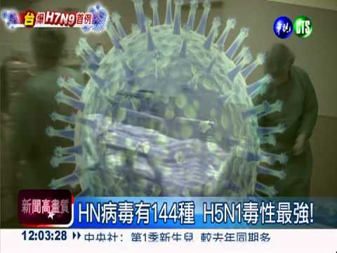 HN病毒有144種 H5N1最毒!