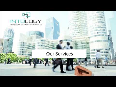 Intology - Our services we offer