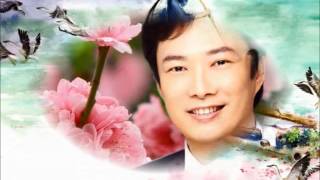 千里之外 （费玉清 3）