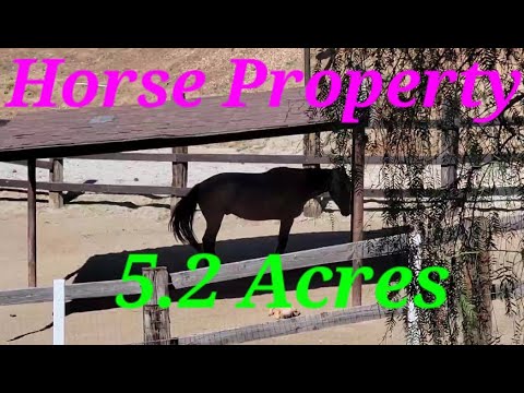 Transform your equestrian dreams into reality on this 5.2-acre horse property