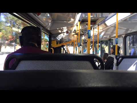 Transit Systems Sydney 2612 ST - Scania K280UB (ZF EcoLife)