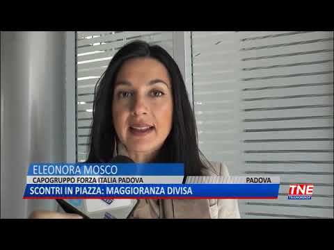 TG (01/04/2019) - SCONTRI IN PIAZZA: MAGGIORANZA DIVISA
