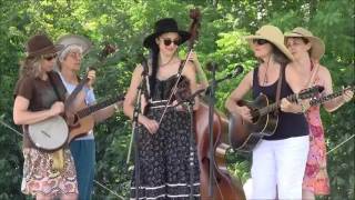 The Hot Walkers - Feast Here Tonight - Morehead Old Time Music Festival 2014