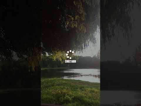 Paula Santander-16