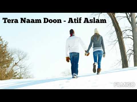 Tera Naam Doon (Entertainment) - Atif Aslam  Full Audio Song.