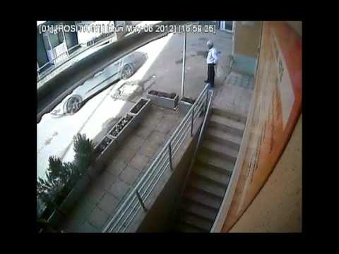 Zbulohet vjedhësi i lulave në kryeqytet