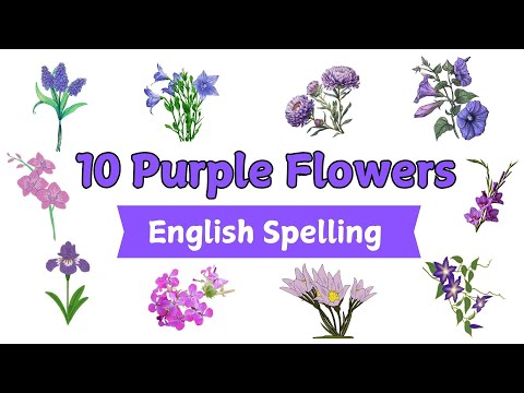 10 Purple Flowers Names In English | Flowers Name in English With Pictures | Flowers Vocabulary
