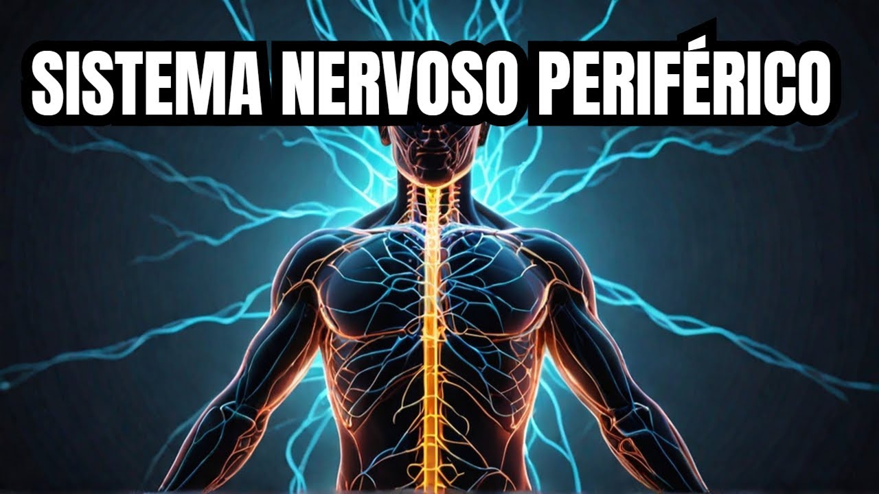 Sistema Nervoso Periférico