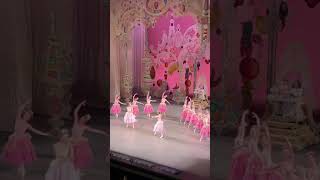 Download lagu Nutcracker Waltz of Flowers mp3