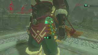#8 ゼルダの伝説 ティアーズオブザキングダムを思いのままに遊ぶ。8