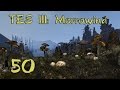 Morrowind Fullrest Repack слепое прохождение ч.50: Гробница в ...