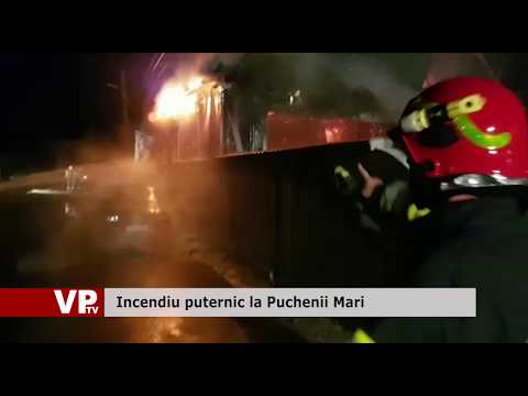 Incendiu puternic la Puchenii Mari