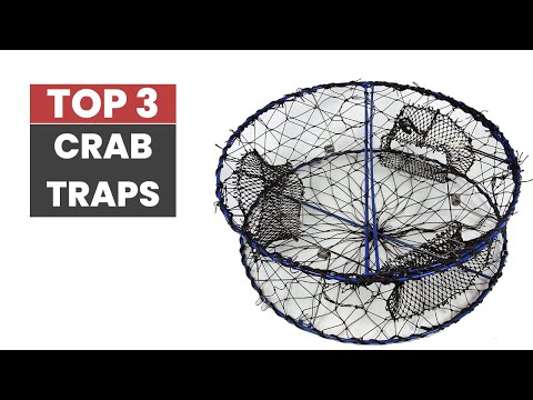 Catch More Crabs with the Best Crab Traps of 2023