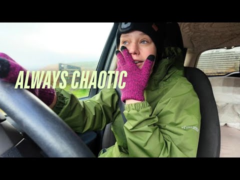 Chaotic 24 hours living on the road | Solo female car life
