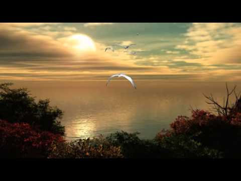 Roby Facchinetti - Vivrò (con testo)