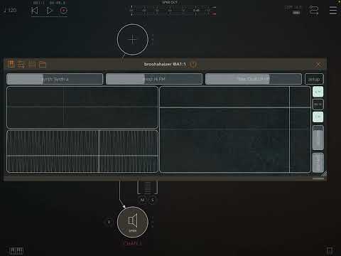 broohahaizer no input