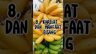 Download lagu 8 khasiat dan manfaat pisang #islam #agama #manfaat mp3 Download lagu 8 khasiat dan manfaat pisang #islam #agama #manfaat mp3
