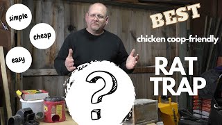 The BEST chicken coop-friendly RAT TRAP