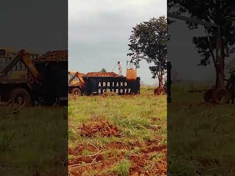 São Pedro Do Paraná É O Palco Do Momento