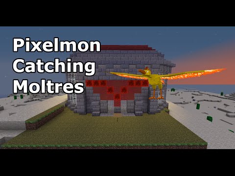 Pixelmon Catching Moltres | Capturing Moltres on Pixelmon