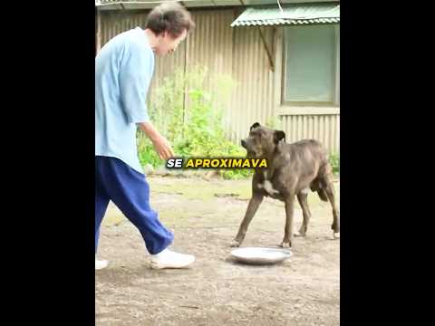 Depois de 5 anos ela finalmente o tocou 🥹❤️