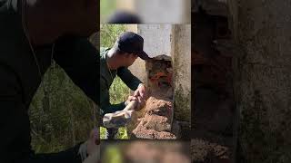Mistério dentro da parede - ficamos suspresos depois de passar o detector aqui - parte 2