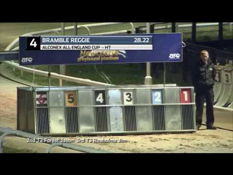 2019 ALCONEX ALL ENGLAND CUP - HEAT 2 - T4 BRAMBLE REGGIE