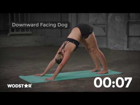 Recovery Sample Video