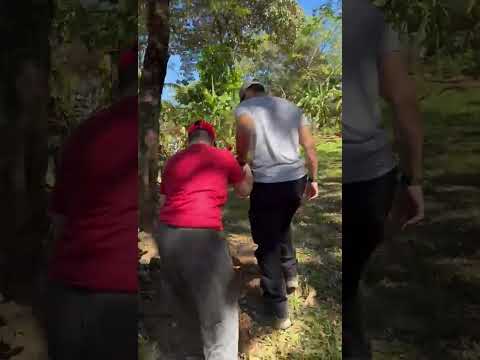 FINCA TOÑITA SAN FERNANDO MORAZÁN